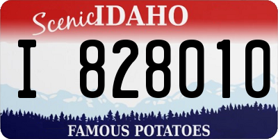 ID license plate I828010