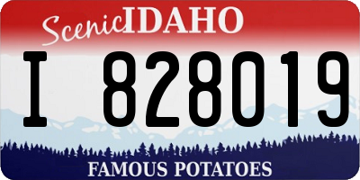 ID license plate I828019
