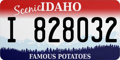ID license plate I828032