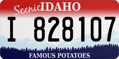 ID license plate I828107