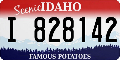 ID license plate I828142