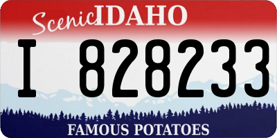 ID license plate I828233