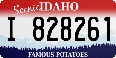 ID license plate I828261