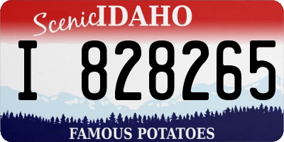 ID license plate I828265