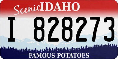 ID license plate I828273