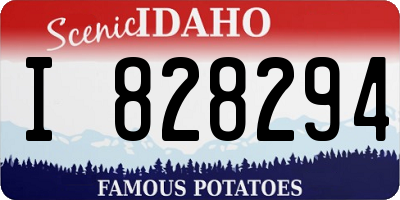 ID license plate I828294