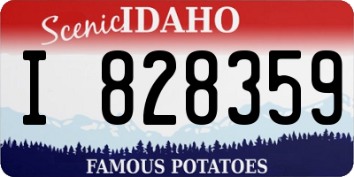 ID license plate I828359