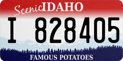 ID license plate I828405