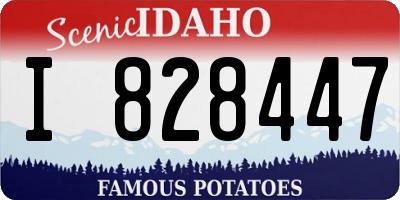ID license plate I828447