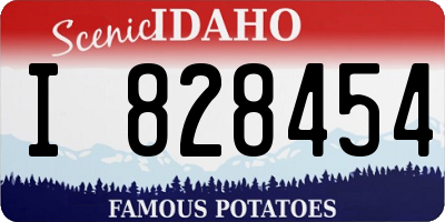 ID license plate I828454