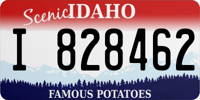ID license plate I828462
