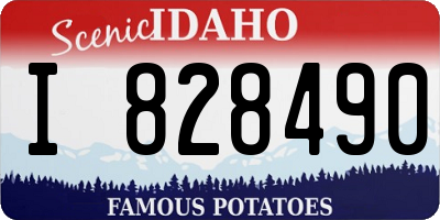 ID license plate I828490