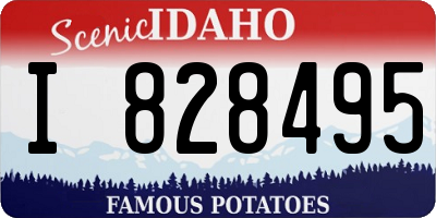ID license plate I828495