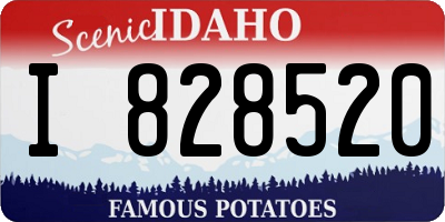 ID license plate I828520