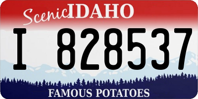 ID license plate I828537
