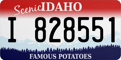 ID license plate I828551