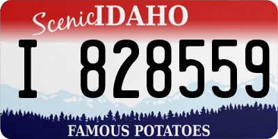 ID license plate I828559