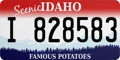 ID license plate I828583