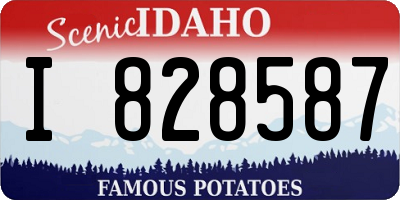 ID license plate I828587