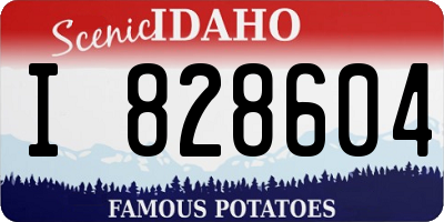 ID license plate I828604