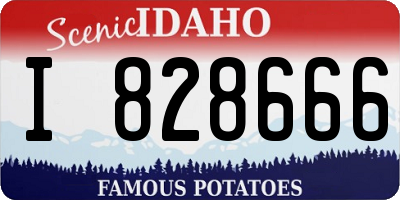 ID license plate I828666