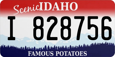 ID license plate I828756