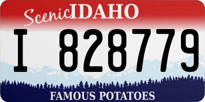 ID license plate I828779