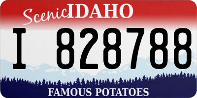 ID license plate I828788