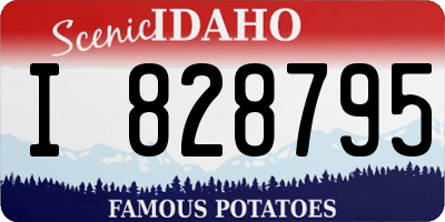 ID license plate I828795