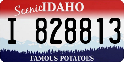 ID license plate I828813