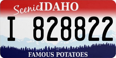 ID license plate I828822