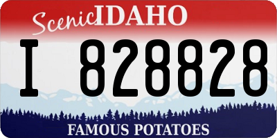 ID license plate I828828