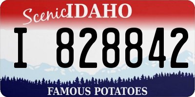 ID license plate I828842
