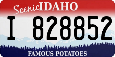 ID license plate I828852