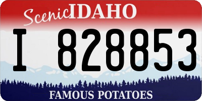 ID license plate I828853