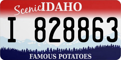 ID license plate I828863