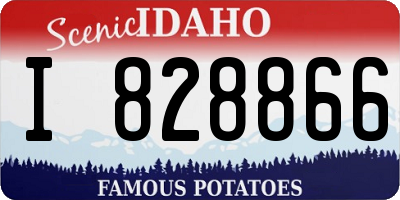 ID license plate I828866