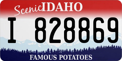 ID license plate I828869