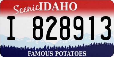 ID license plate I828913