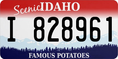 ID license plate I828961