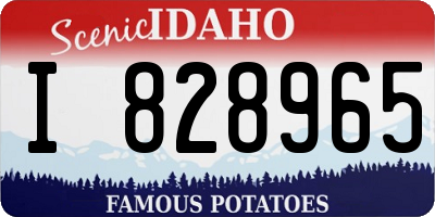 ID license plate I828965