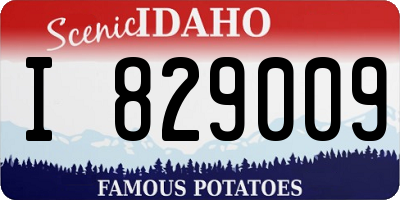 ID license plate I829009