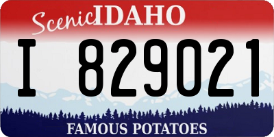 ID license plate I829021