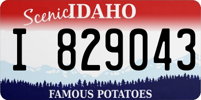 ID license plate I829043