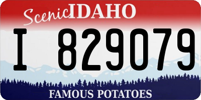 ID license plate I829079