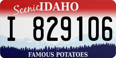 ID license plate I829106