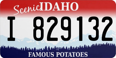 ID license plate I829132