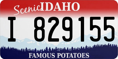 ID license plate I829155