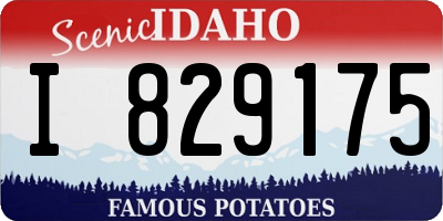 ID license plate I829175