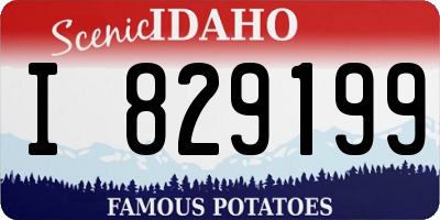 ID license plate I829199